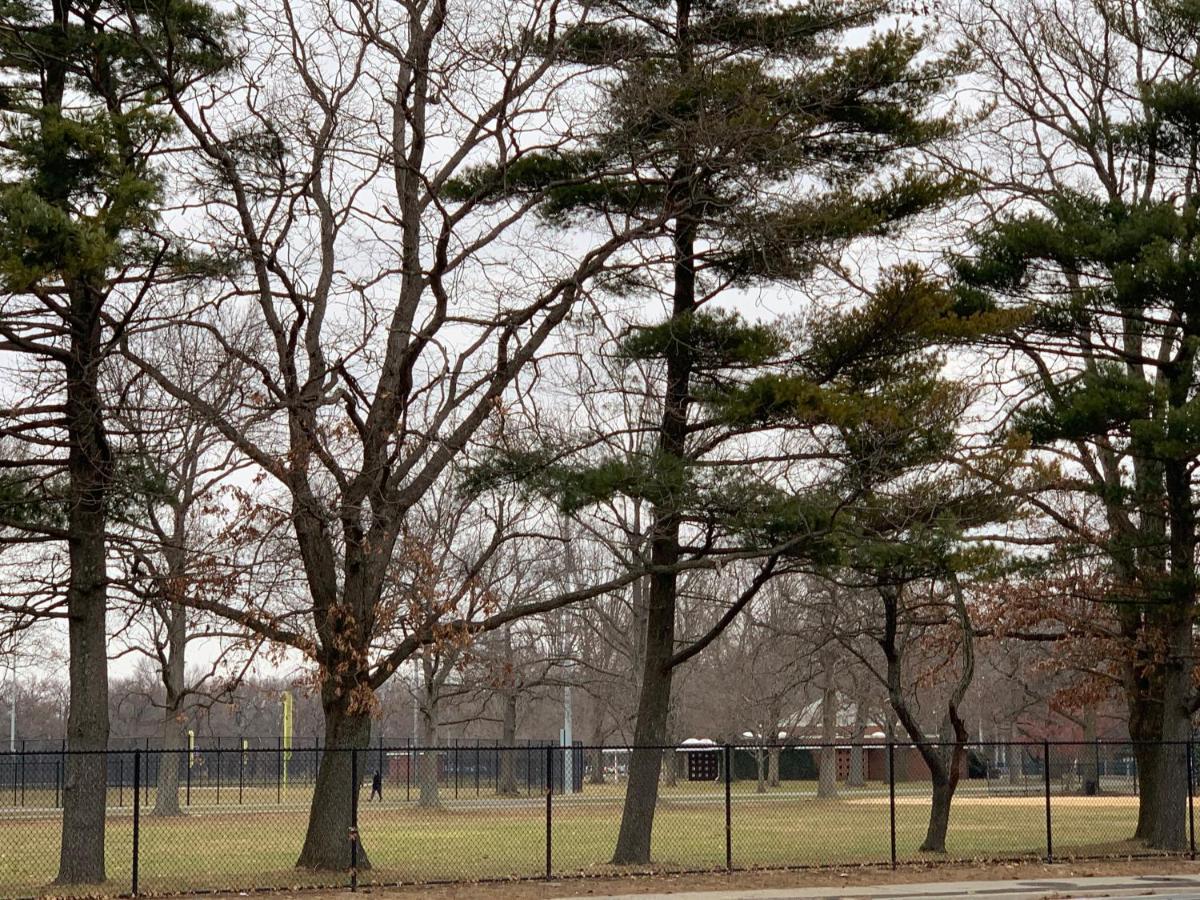 Coliseum Inn & Suites - Garden City Long Island East Meadow Екстер'єр фото